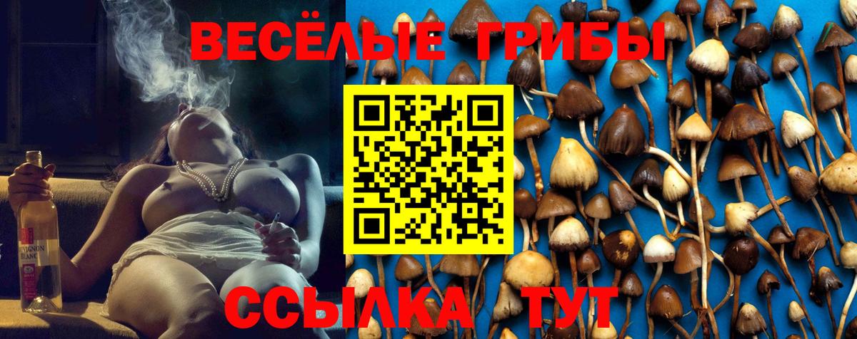 Галлюциногенные грибы прущие грибы  Вход с VPN  Выкса 